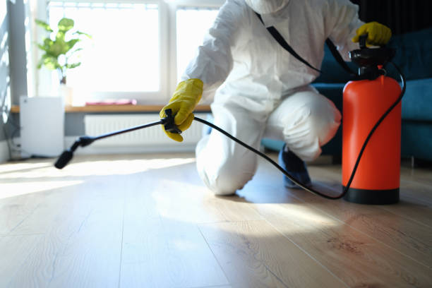 Reliable Biohazard contractor in Searchlight, NV by Dulley Family Biohazard Services